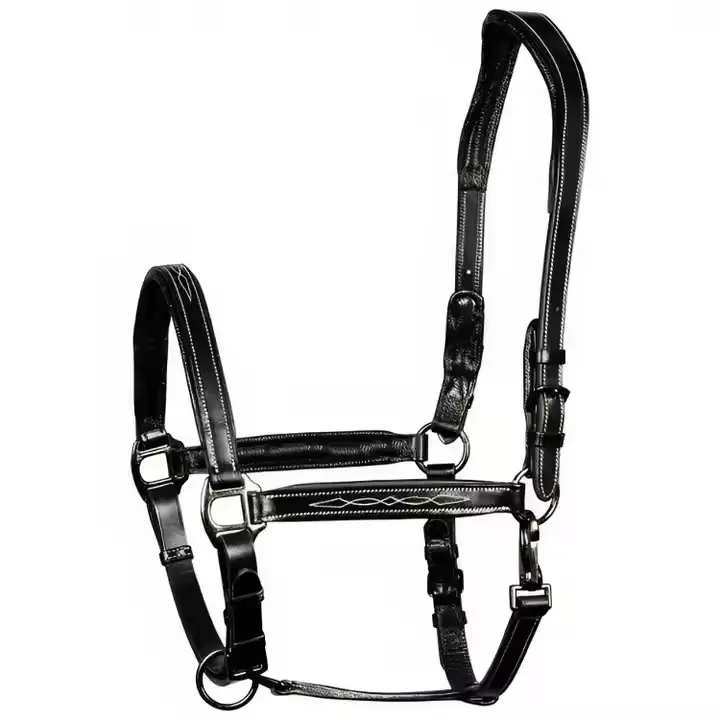 Top Trending Equestrian Horse Tack Padded Horse Leather Headcollar Double Buckle Adjustment Thin Straps Super Riding Nylon 