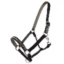  Fancy Cowhide leather padded headcollar with Engraving nameplate & solid metal fittings, Horse leather halters