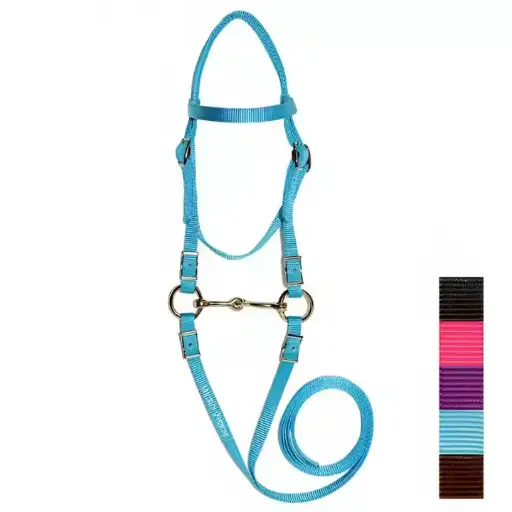 Top Notch premium graded Nylon Horse Bridle with nickel coated hardware, Equestrian Tack custom color cob, pony horse bridles 
