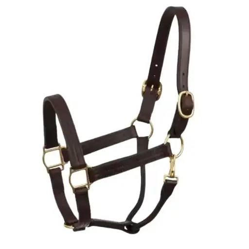 Leather Horse Riding Good Quality Customized leather horse halter Horse Riding Equipment OEM Halters 
