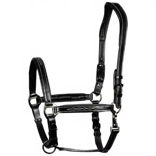 Top Trending Equestrian Horse Tack Padded Horse Leather Headcollar Double Buckle Adjustment Thin Straps Super Riding Nylon 
