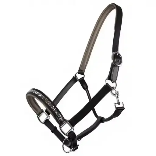  Fancy Cowhide leather padded headcollar with Engraving nameplate & solid metal fittings, Horse leather halters