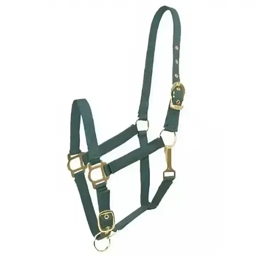 New Fashionable Equestrian Nylon Halters Easy-to-Use Adjustable Horse Riding Equipment with Sier/Gold Hardware Snap Fastening 