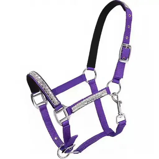 New Arrival Equestrian Horse Tack Adjustable Leather Nylon Halter with Crystals Horse Riding Equipment Horse Rope 