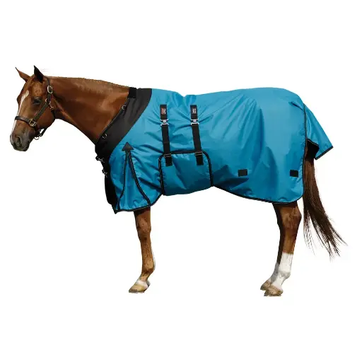 New Design Adjustable Horse Riding Fly Sheets Rugs Turnout Blankets Embroidered Dressage Saddle Accessories Made Polyester 