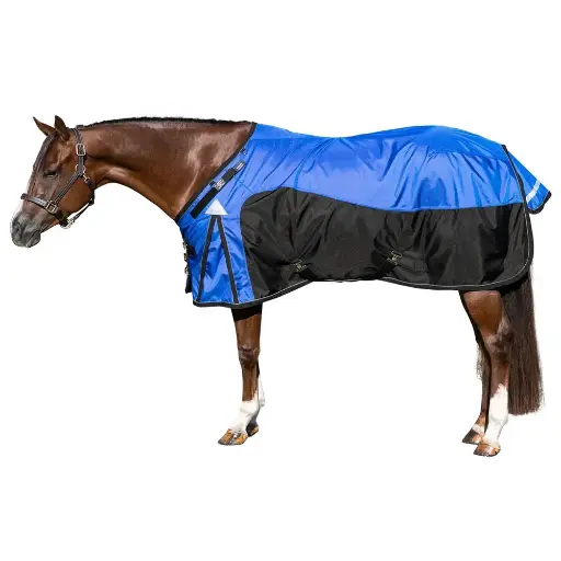 Top Notch Custom Embroidered Logo Breathable Horse Riding Saddle Blankets Stable Fly Sheet Nylon Polyester Fabric Riding SGS 