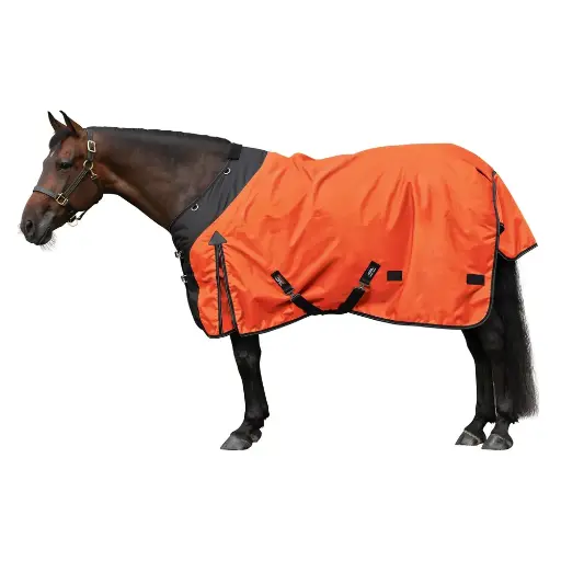 Premium Custom Dressage Saddle Blankets Horse Riding Breathable Nylon Polyester Fabric Hand-Embroidered Logo Stable Fly Sheet 