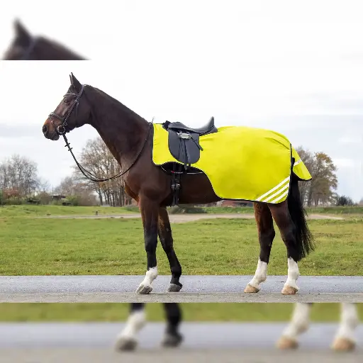 Top Trending Large Tail Flap Horse Riding Exercise Blankets Waterproof Breathable Windproof Reflective Exercise Sheet Saddles 